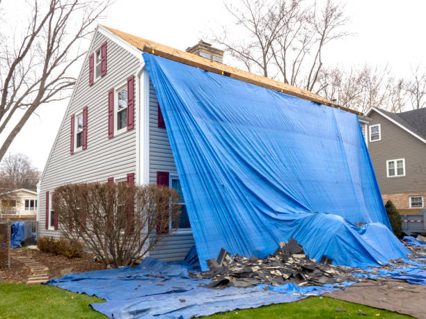 Best Basement Cleanout  in Madison Heights, VA